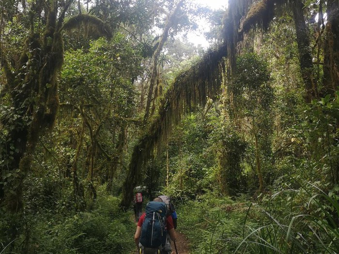 Machame Day Hike